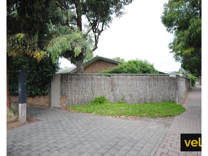 15 Randolph Avenue, Fullarton SA 5063