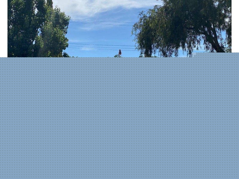 40 East Terrace, Gawler East SA 5118