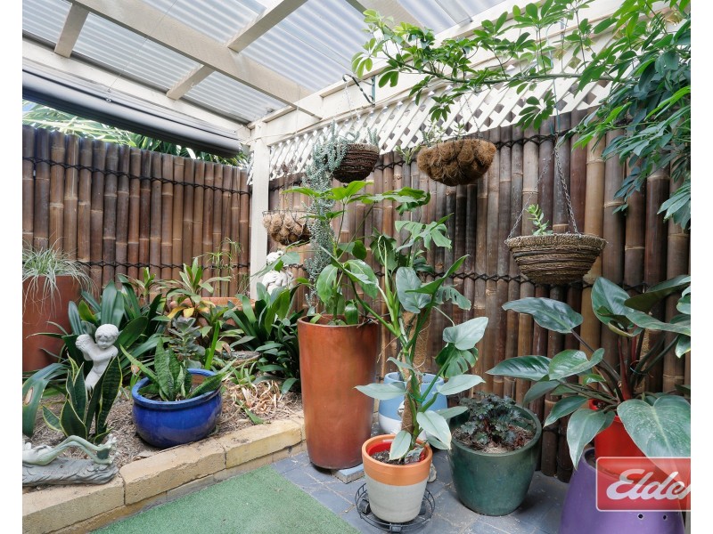 23 Ames Drive, Evanston Park SA 5116