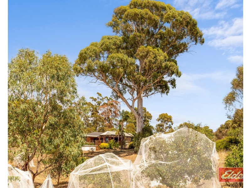 120 Lorke Road, Williamstown SA 5351