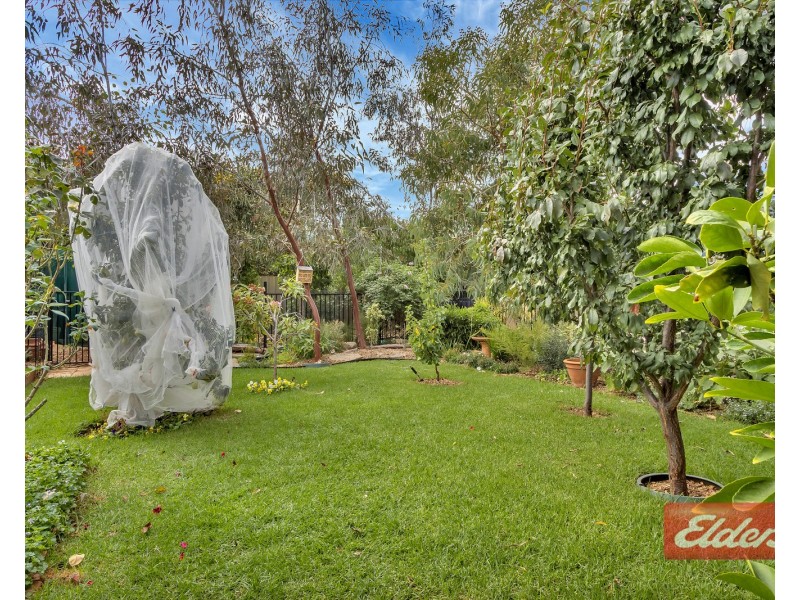 3 Smart Court, Evanston Park SA 5116