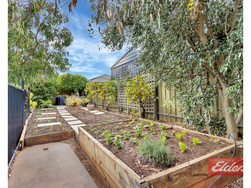 3 Smart Court, Evanston Park SA 5116