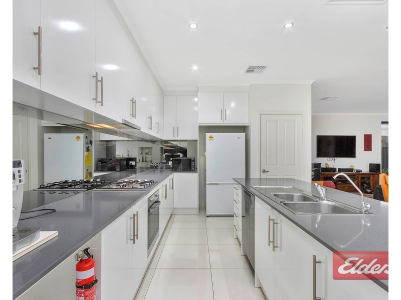 14 Wells Place, Evanston Gardens SA 5116