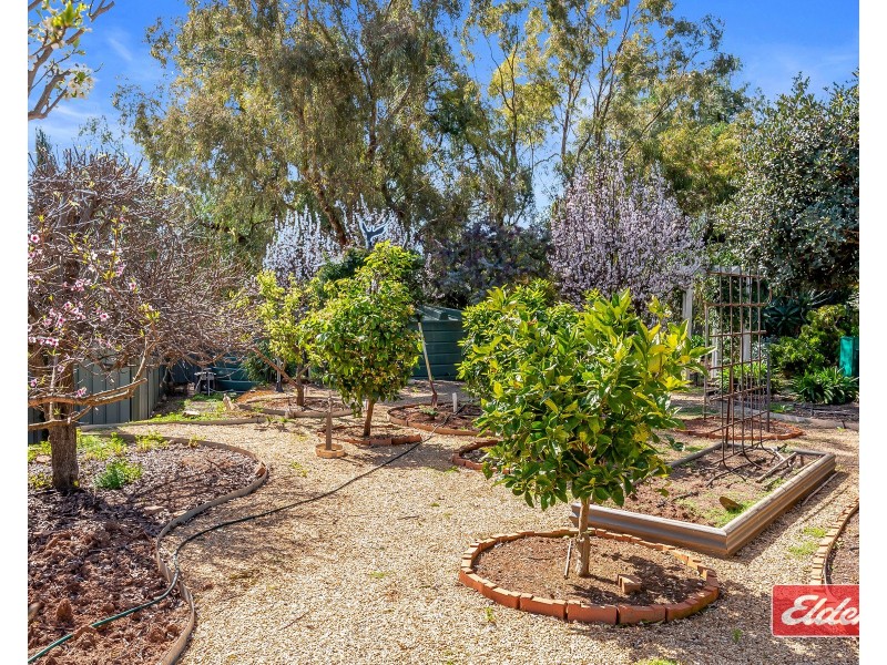 10 Melaleuca Drive, Gawler East SA 5118