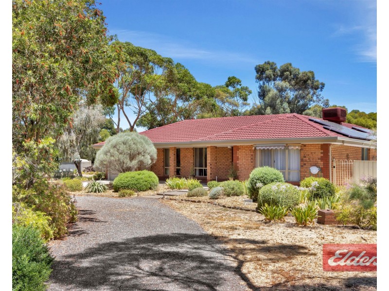 15 Ronda Avenue, Roseworthy SA 5371