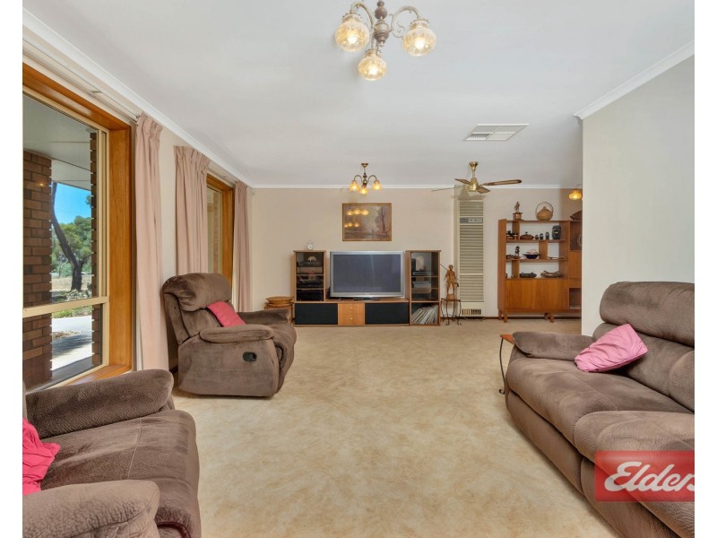 15 Ronda Avenue, Roseworthy SA 5371