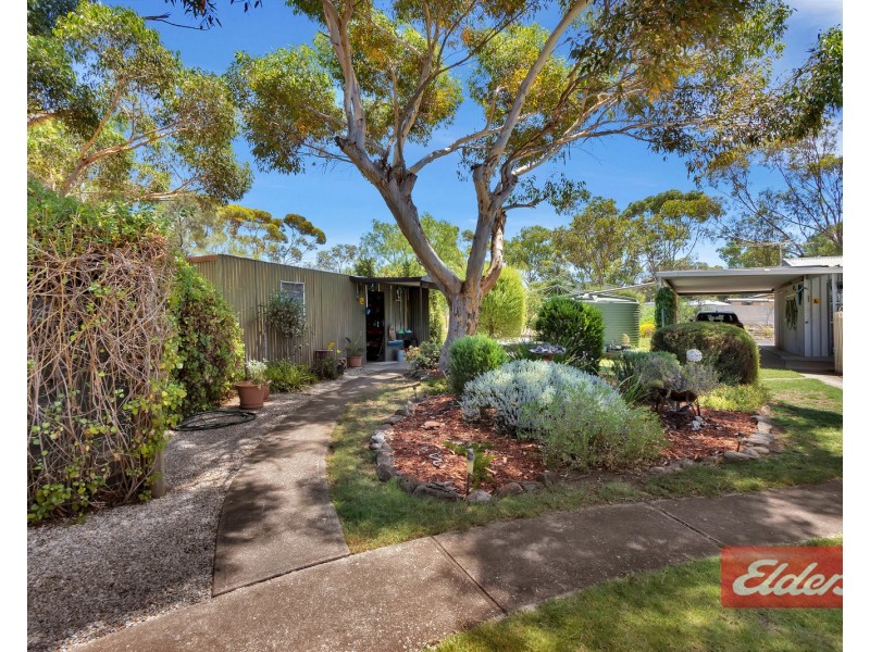15 Ronda Avenue, Roseworthy SA 5371