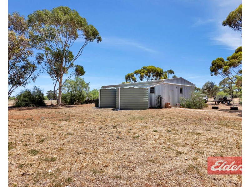 15 Ronda Avenue, Roseworthy SA 5371