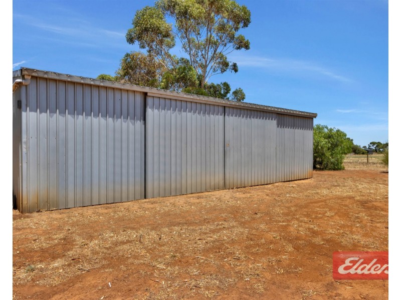 15 Ronda Avenue, Roseworthy SA 5371