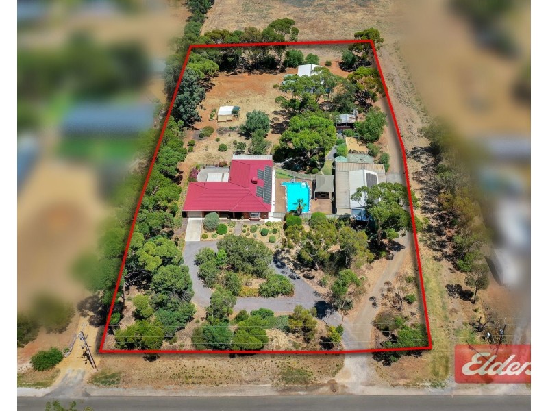 15 Ronda Avenue, Roseworthy SA 5371
