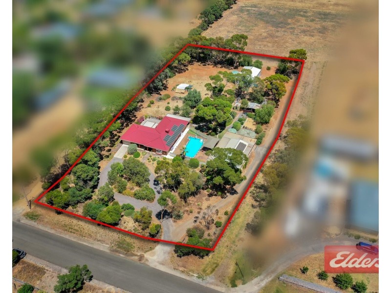 15 Ronda Avenue, Roseworthy SA 5371