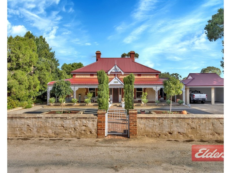 51 Panter Street, Willaston SA 5118