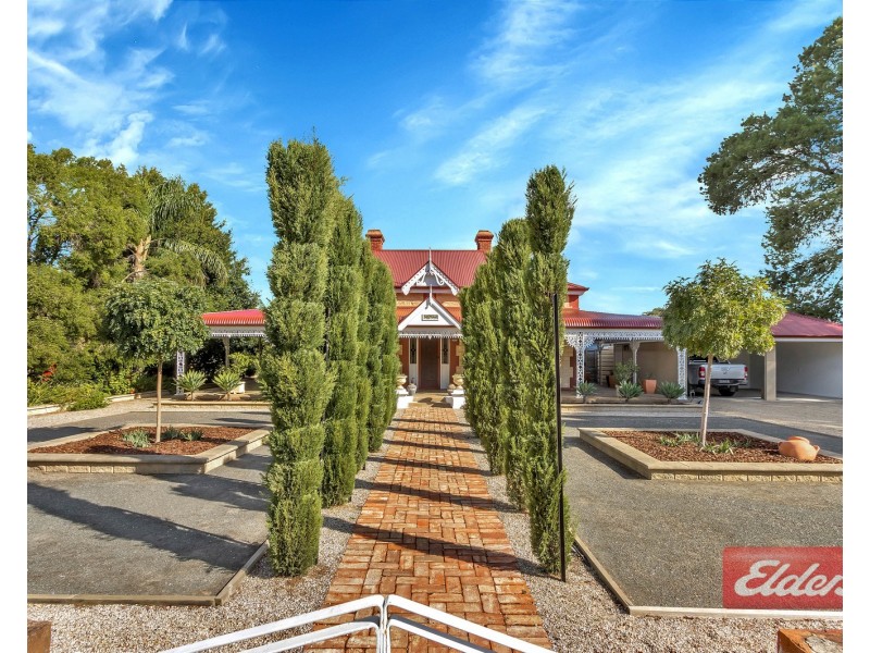 51 Panter Street, Willaston SA 5118