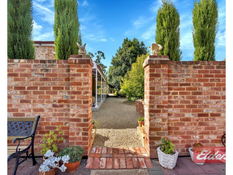 51 Panter Street, Willaston SA 5118