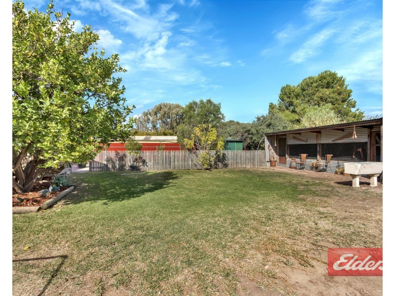 51 Panter Street, Willaston SA 5118