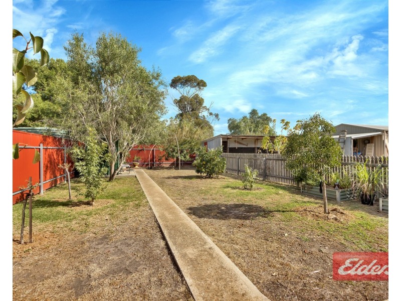 51 Panter Street, Willaston SA 5118