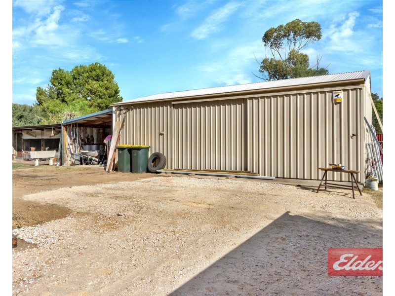 51 Panter Street, Willaston SA 5118