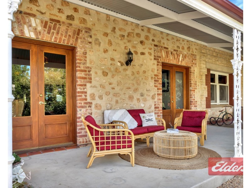 51 Panter Street, Willaston SA 5118