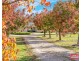 80 Powell Road, Kersbrook SA 5231