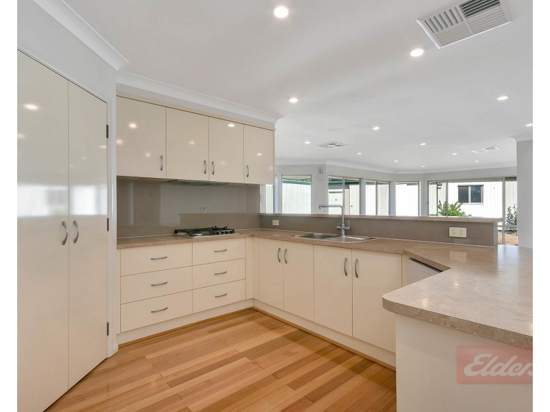 4 Angas Avenue, Evanston Park SA 5116