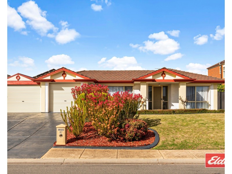 37 Trinity Drive, Evanston Park SA 5116