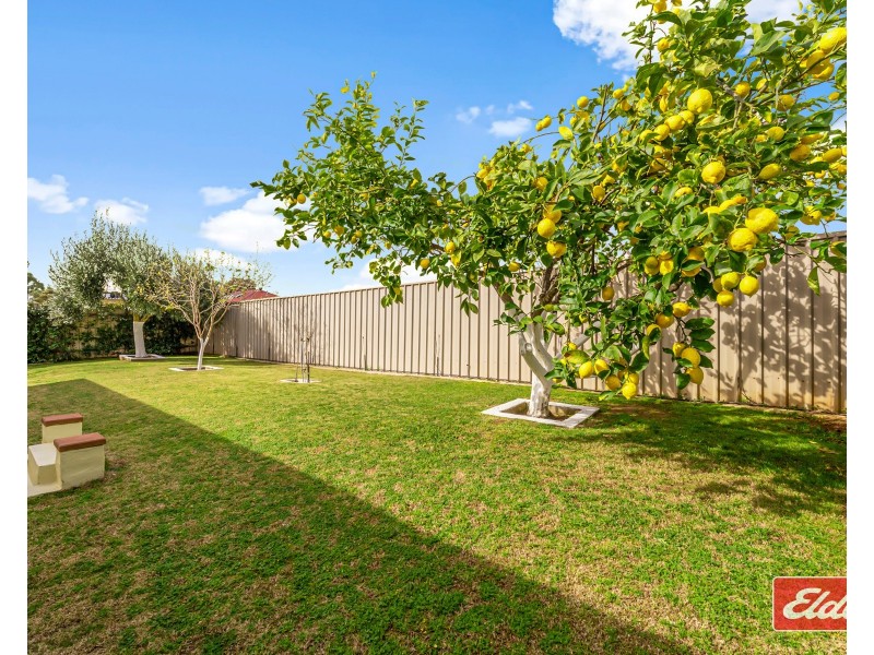 37 Trinity Drive, Evanston Park SA 5116