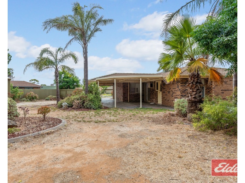 3 Symes Court, Willaston SA 5118