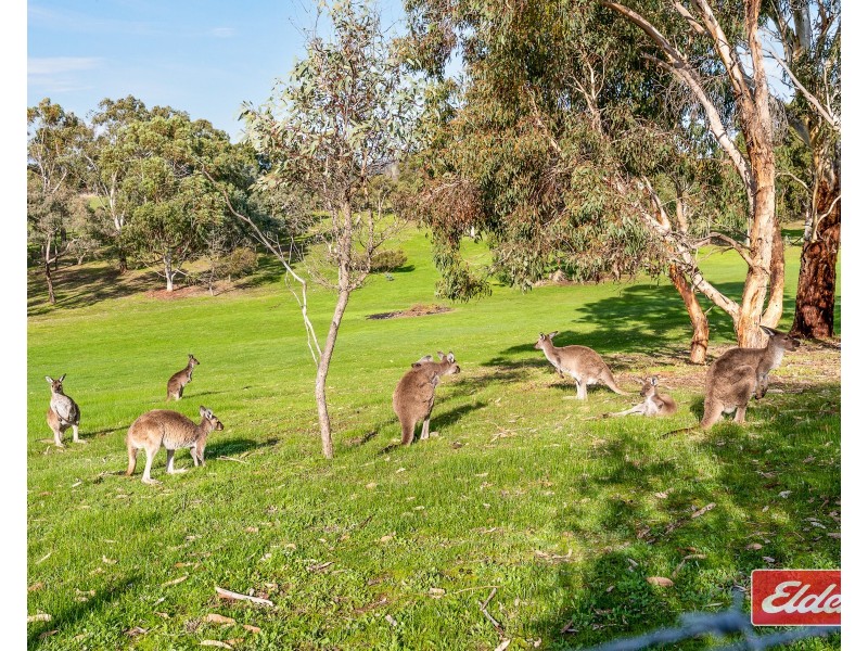 111 Wattle Road, Kersbrook SA 5231