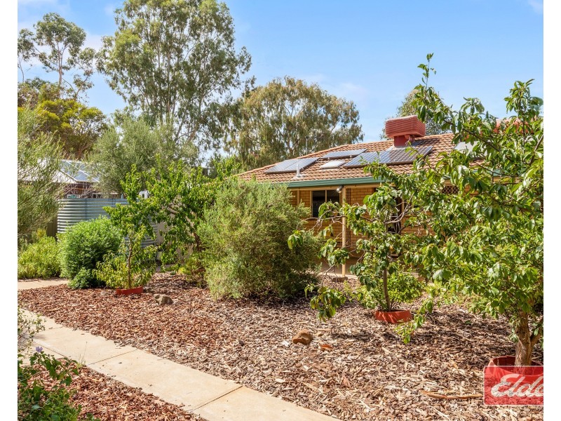 6 Barber Street, Willaston SA 5118