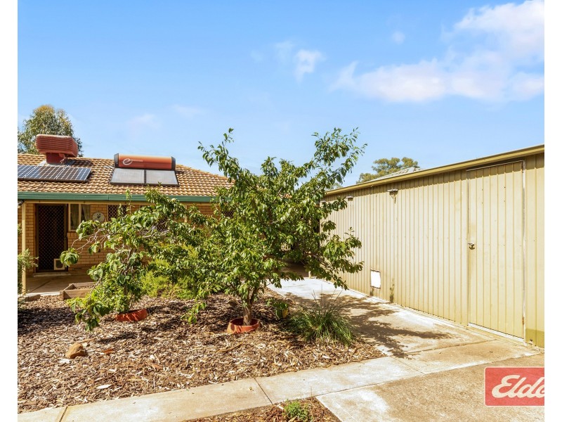 6 Barber Street, Willaston SA 5118