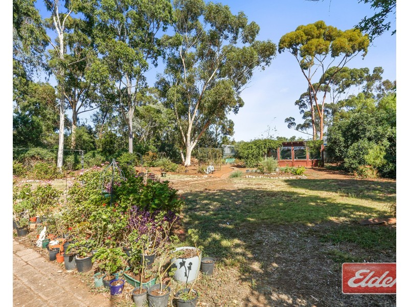 15 Cockshell Drive, Gawler East SA 5118