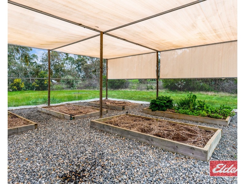 52 Wild Street, Williamstown SA 5351