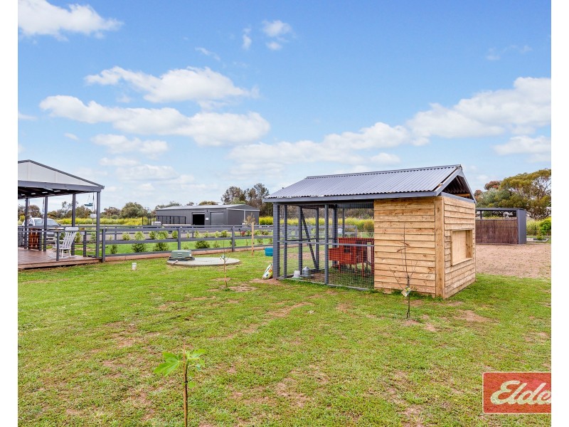 7 Dorothy Close, Wasleys SA 5400