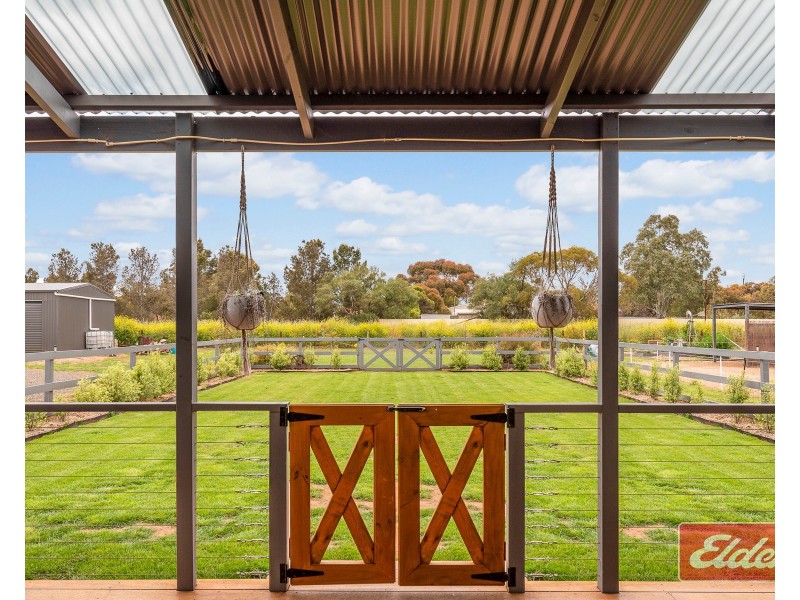 7 Dorothy Close, Wasleys SA 5400