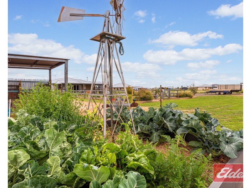 7 Dorothy Close, Wasleys SA 5400