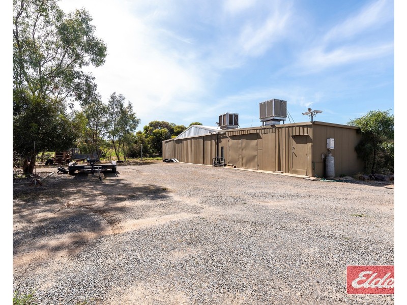 8 Rose Drive, Roseworthy SA 5371