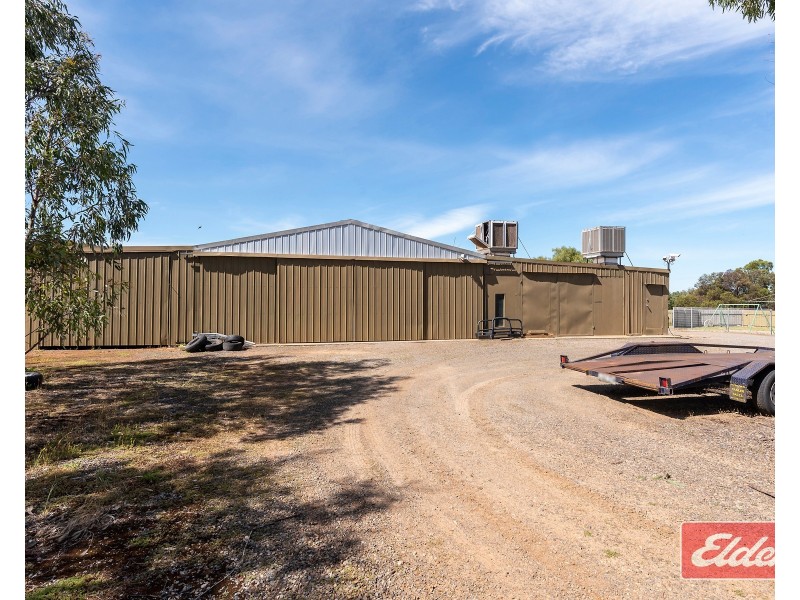 8 Rose Drive, Roseworthy SA 5371