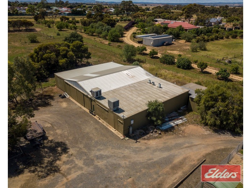 8 Rose Drive, Roseworthy SA 5371