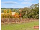 32 Manser Road, Williamstown SA 5351