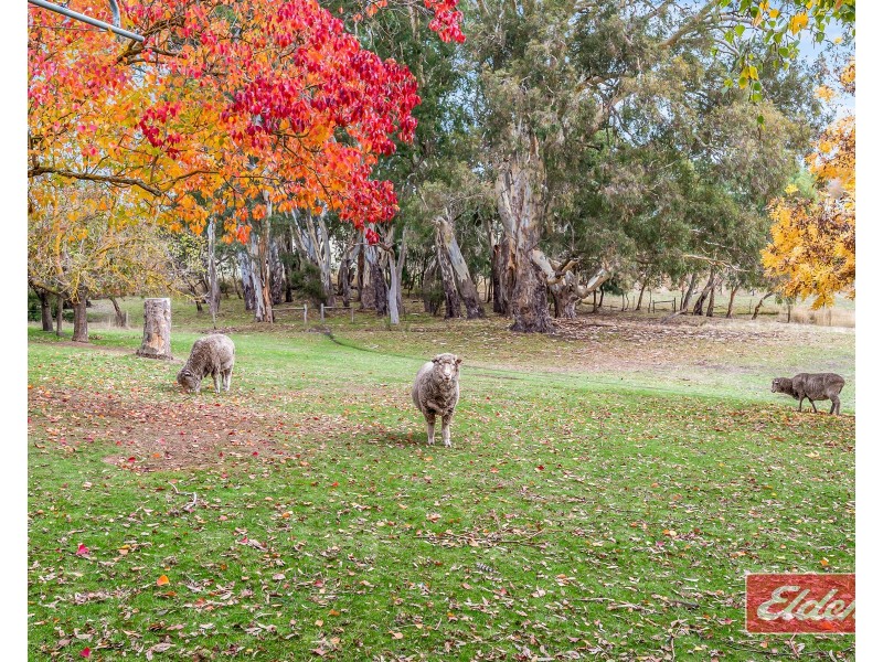 32 Manser Road, Williamstown SA 5351