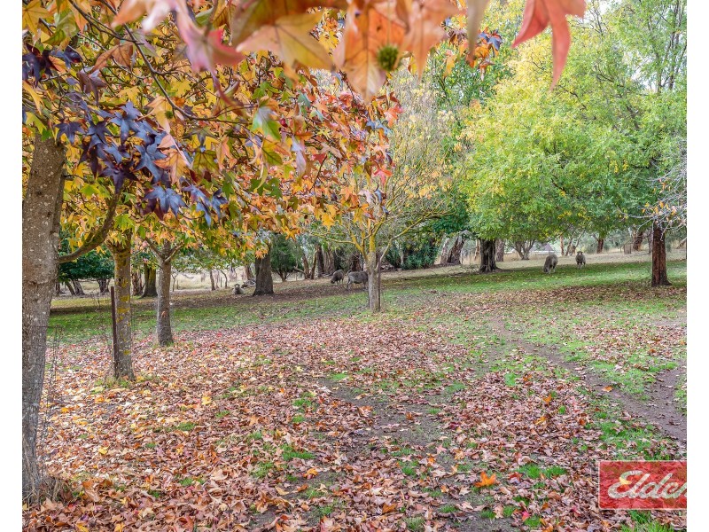 32 Manser Road, Williamstown SA 5351