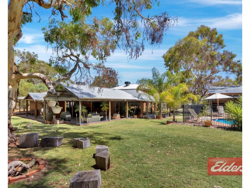 290 Williamstown Road, Cockatoo Valley SA 5351