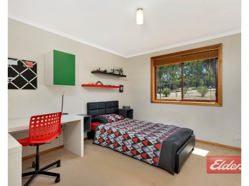 290 Williamstown Road, Cockatoo Valley SA 5351