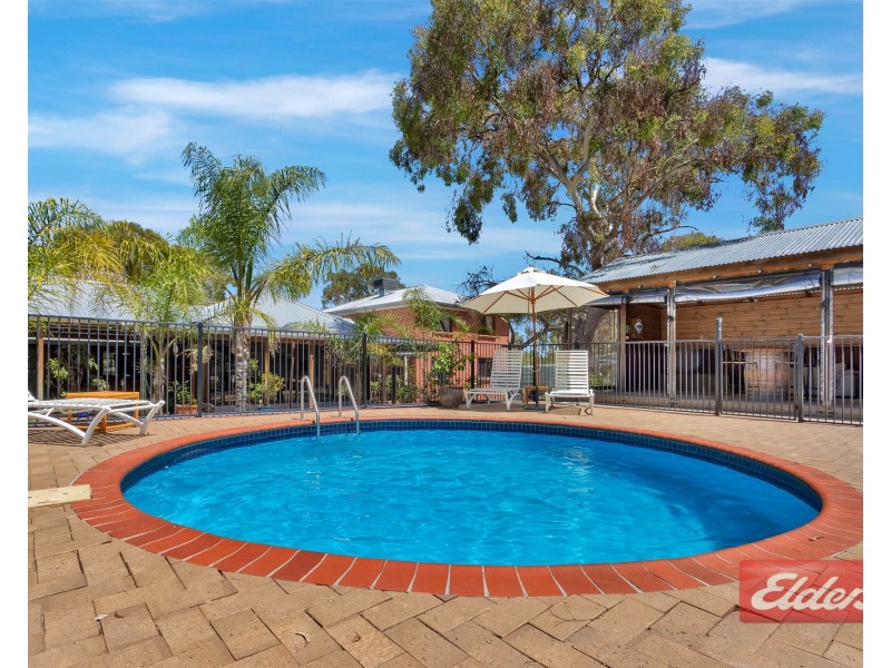 290 Williamstown Road, Cockatoo Valley SA 5351