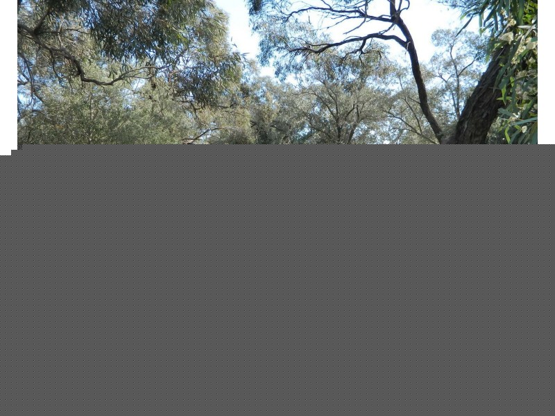 Lot 21,  Nottle Road, Gawler Belt SA 5118