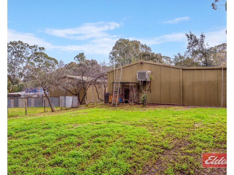 40 Austin Crescent, Cockatoo Valley SA 5351