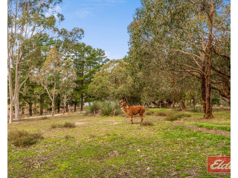 10 Walter Randall Glen, Pewsey Vale SA 5351
