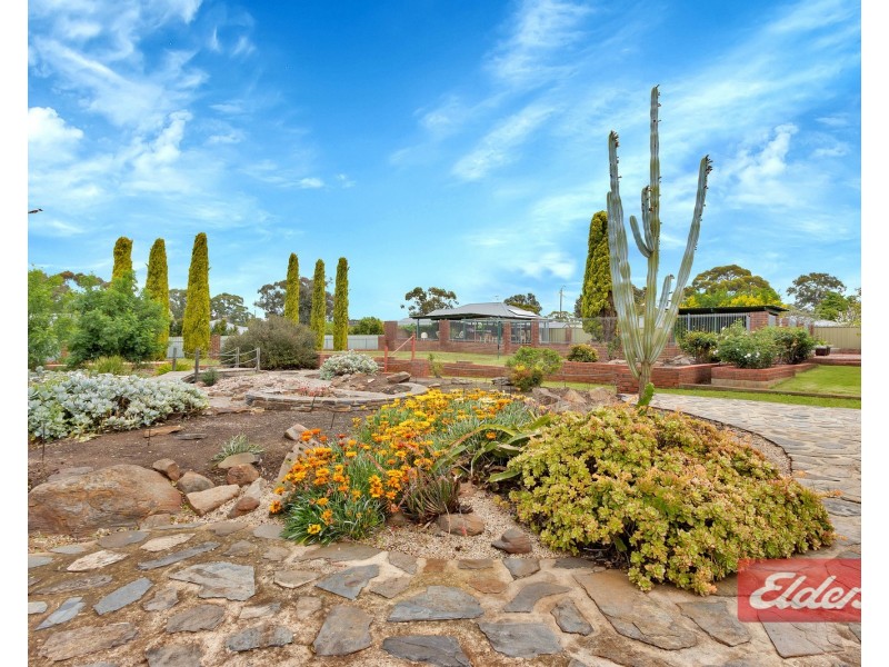 2 Peacock Avenue, Gawler East SA 5118