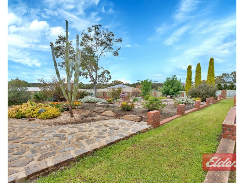 2 Peacock Avenue, Gawler East SA 5118