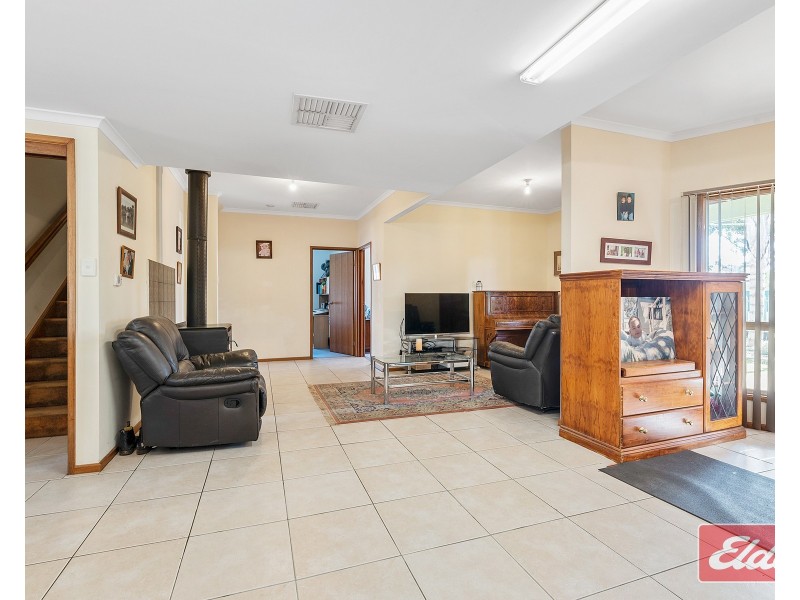 12 Borrow Street, Freeling SA 5372